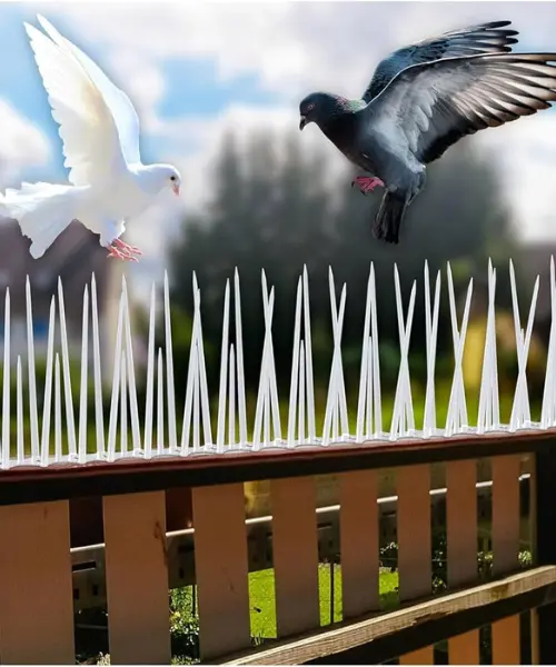 on time safety net service company delhi ncr most trusted safety net company premium bird spike service page image two